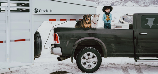 RVC3006 COMPANION 5TH WHEEL HITCH COUPLER