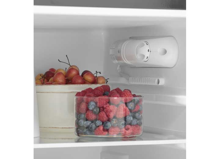 GE Appliances GPV10FSNSB - R 9.8 cu. ft. Top Freezer Refrigerator in Stainless Steel - Imex RV And Auto Parts