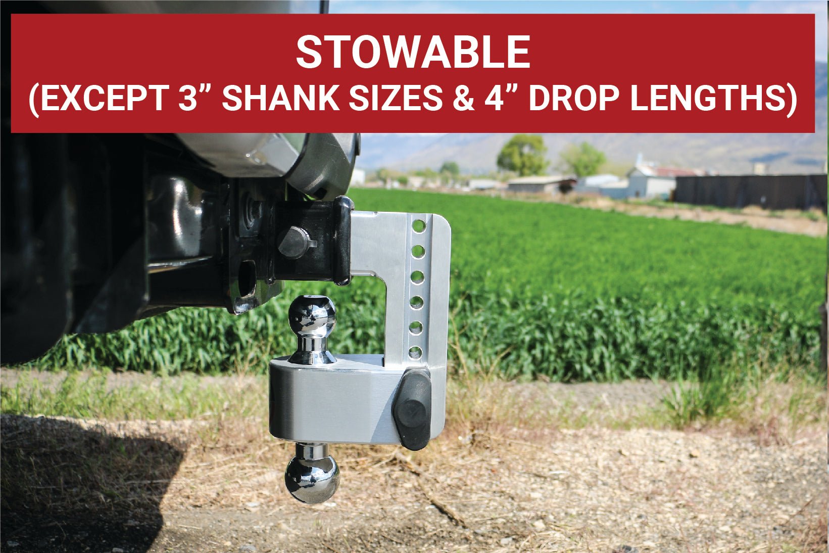 Weigh Safe 180 Hitch Chrome Ball 10" Drop Hitch with 2-Inch Shank - Imex RV And Auto Parts